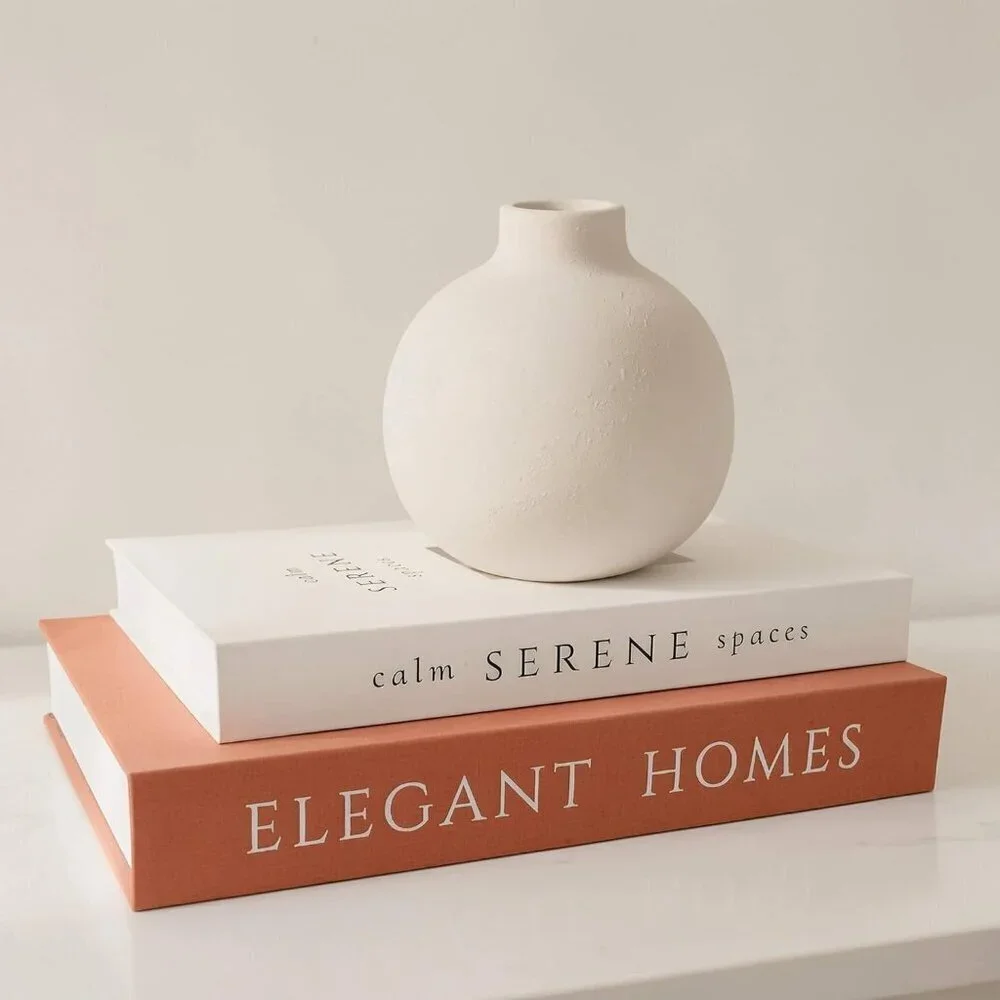 Decorative Brown Beige Books Set of 2 Faux Books Storage Box Modern Home Decor